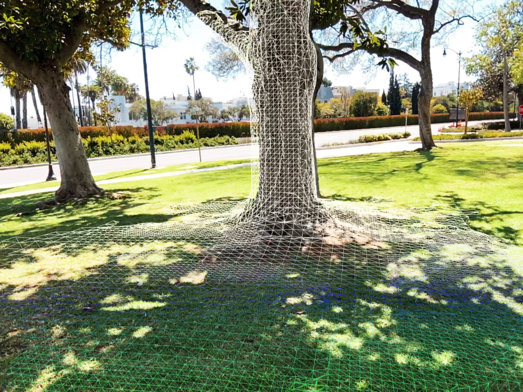 iPad Pro Lidar Scanner Test for Augmented Reality Superba AR